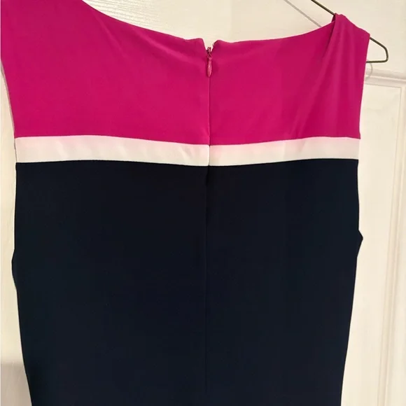 Lauren Ralph Lauren Pink and Navy Midi Dress - Picture 5 of 5